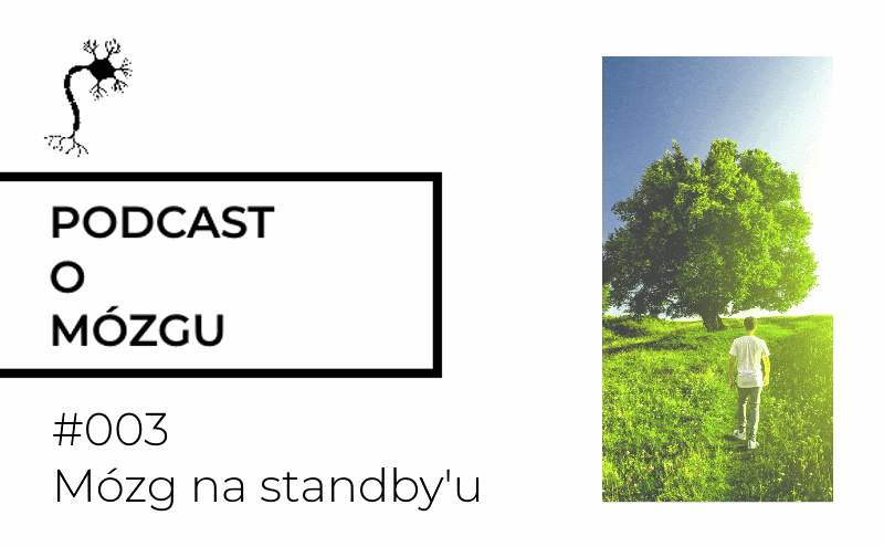 #003 Mózg na standby’u. Jak działa DMN?