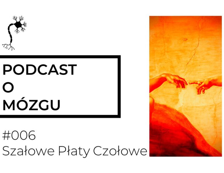 #006 Szałowe Płaty Czołowe