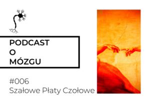 płaty czołowe