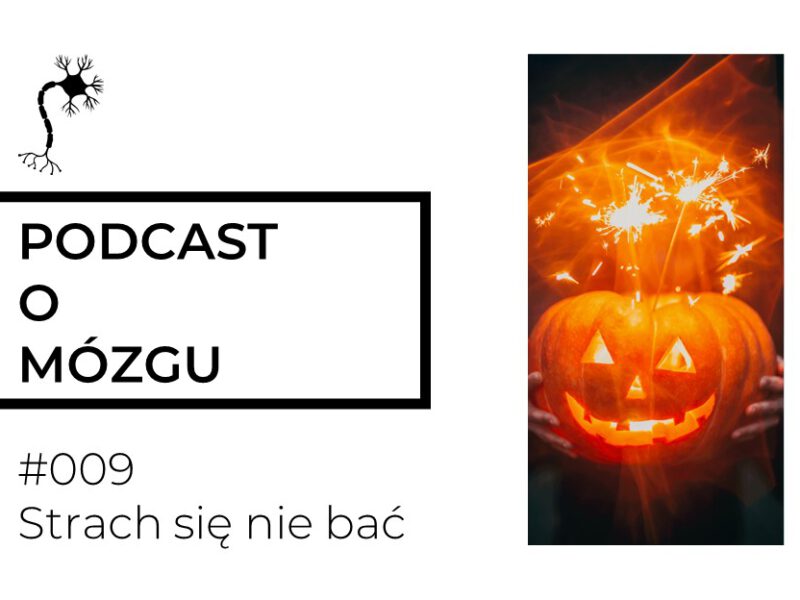 #009 Strach się nie bać