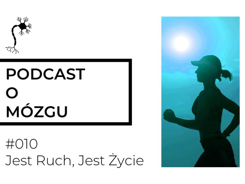 #010 Jest ruch, jest życie. Mózg i ruch to zgrana para