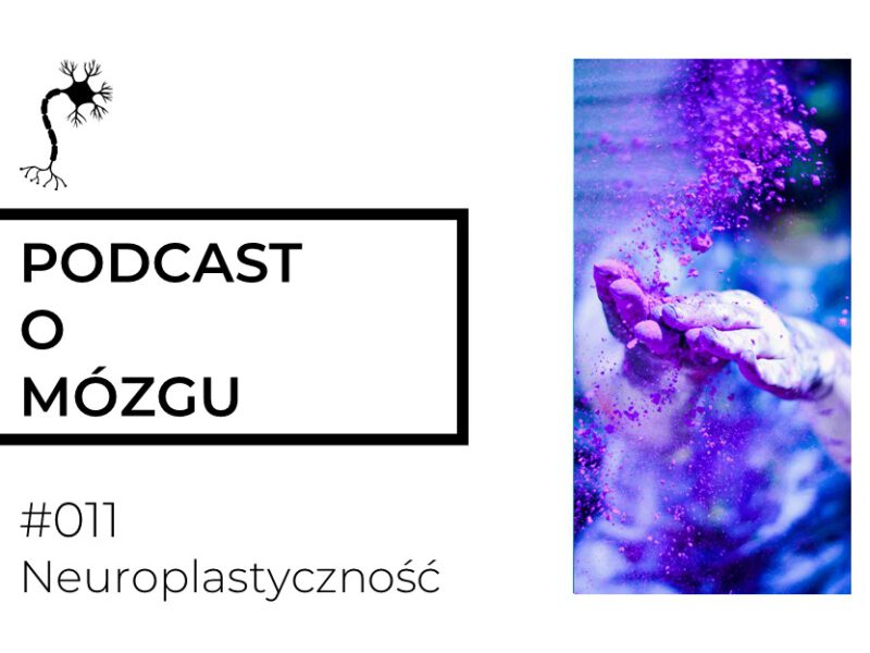 #011 Neuroplastyczność wymiata