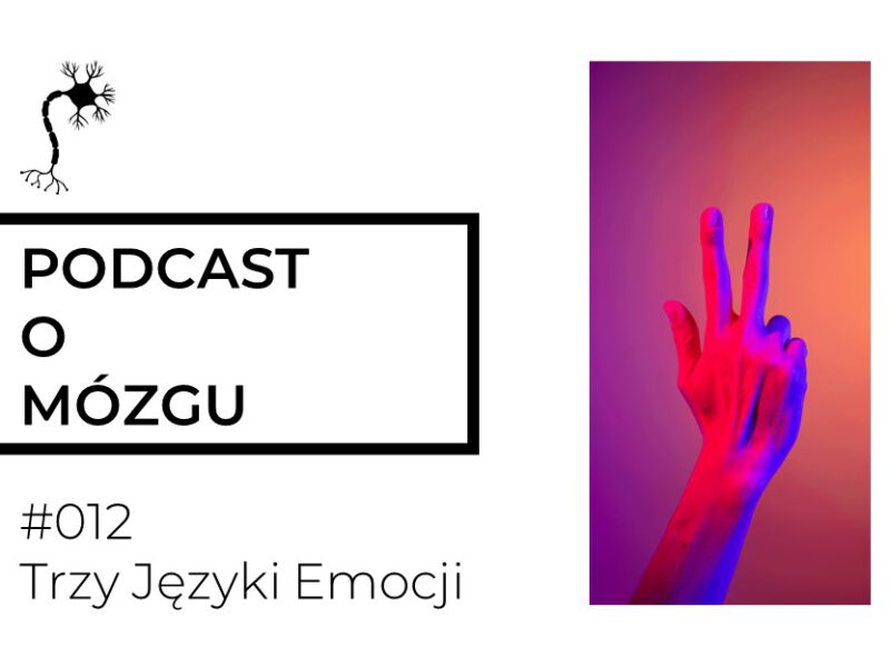 #012 Trzy języki emocji. Czyli inteligencja emocjonalna