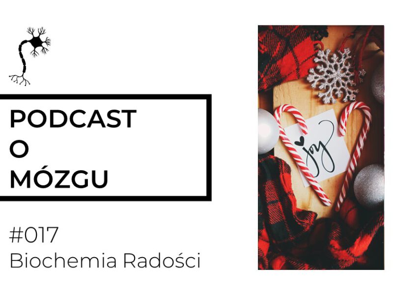 #017 Biochemia Radości. Cząsteczki szczęścia w mózgu i ciele