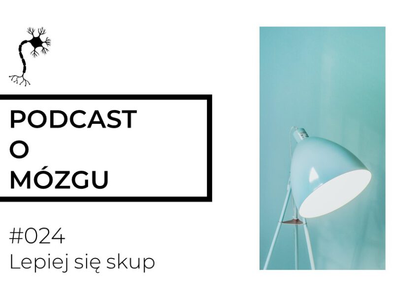 #024 Lepiej się skup. Koncentracja uwagi