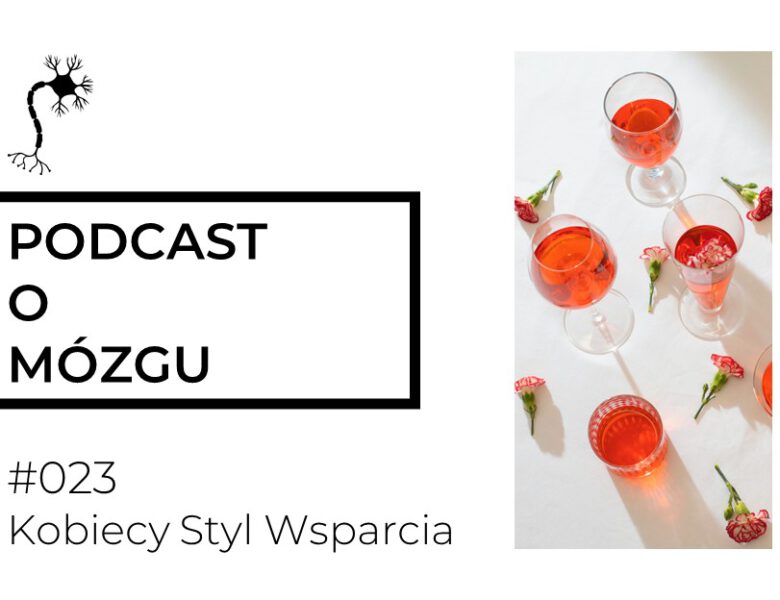 #023 Kobiecy Styl Wsparcia: stres da się wygadać!