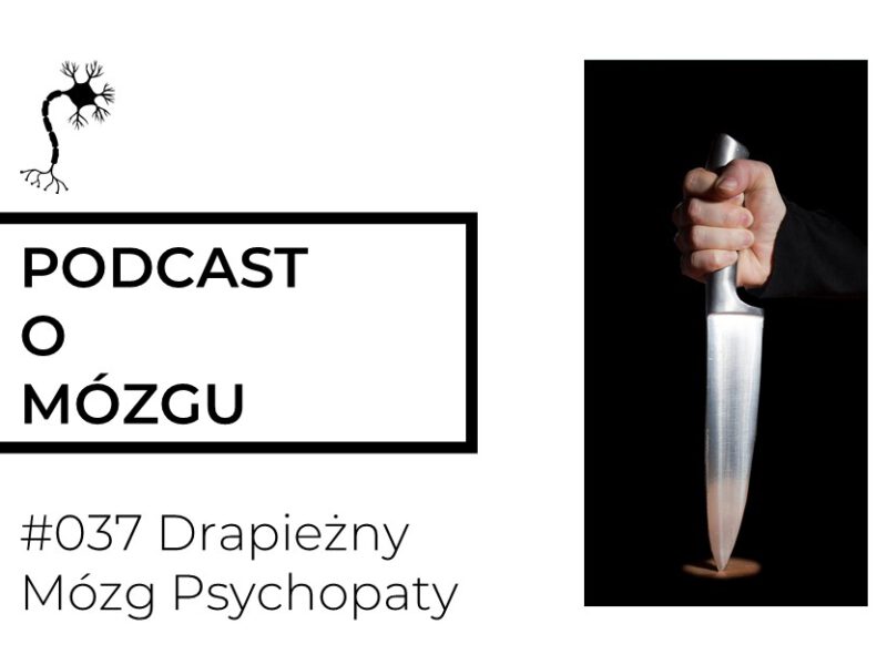 #037 Drapieżny Mózg Psychopaty