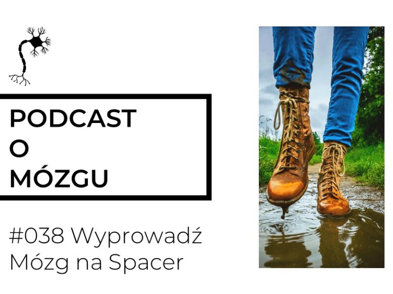 #038 Wyprowadź Mózg na Spacer